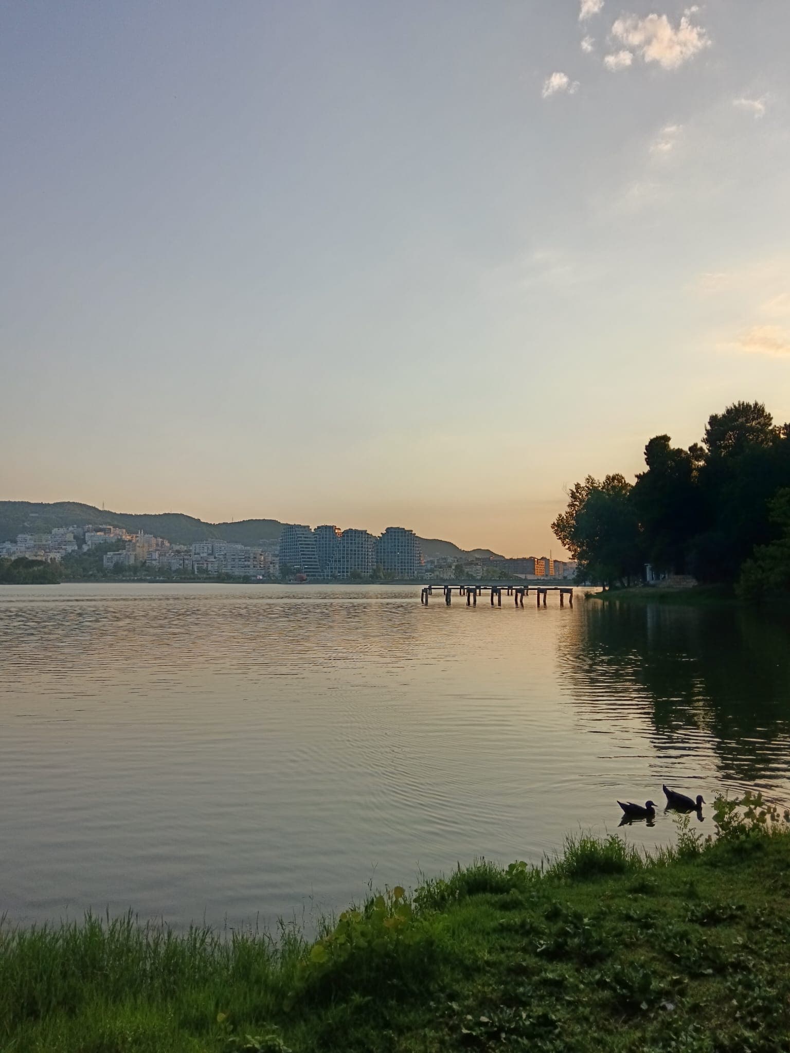 Foto di Antonietta Giglio